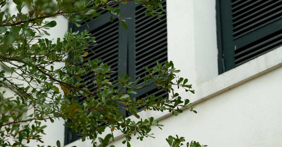 The Ultimate Guide to Cleaning Cafe Style Plantation Shutters