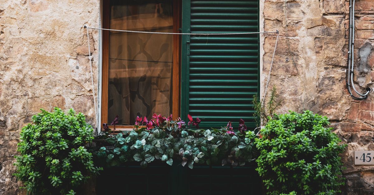 Understanding the Durability of Timber Plantation Shutters